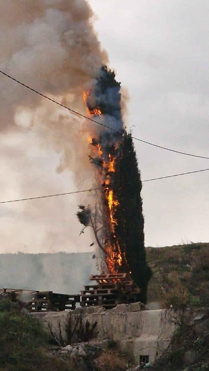 lovrinac cempres pozar munja 1 