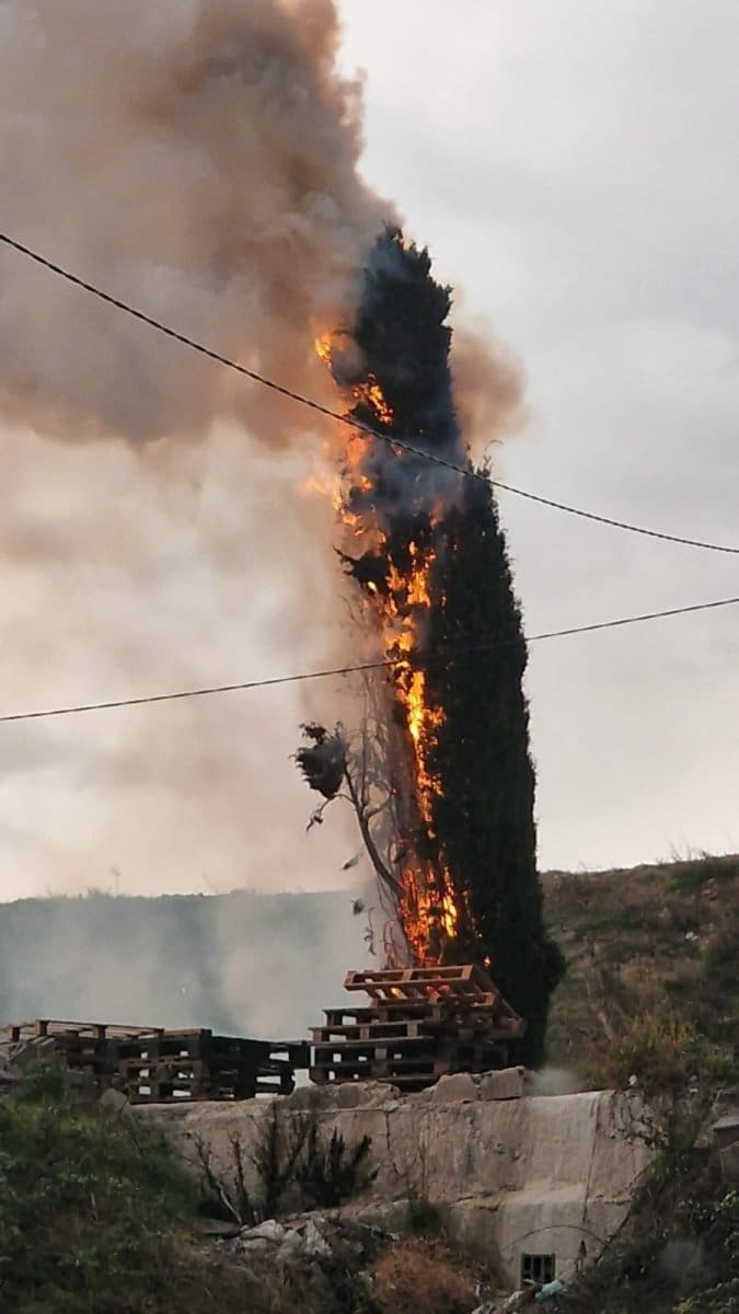 lovrinac cempres pozar munja 2 