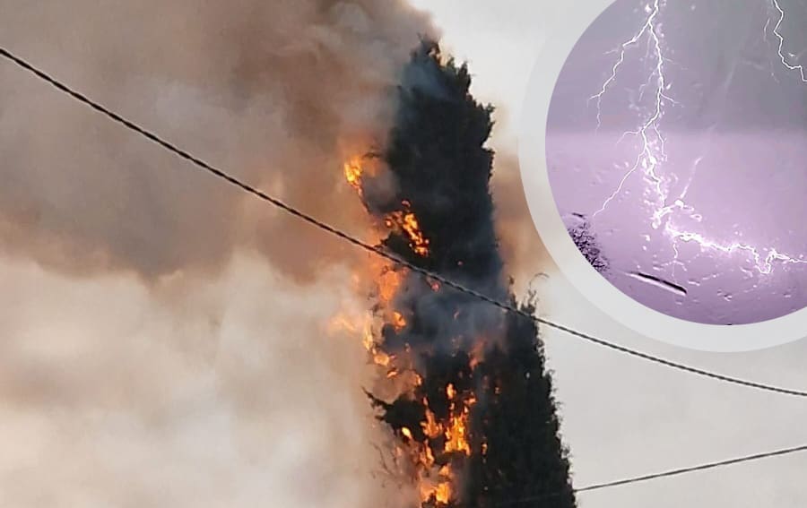 VIDEO Ni kiša ga nije spasila: Munja udarila u čempres na Lovrincu, cijeli je izgorio