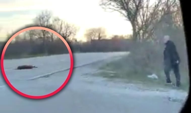 UZNEMIRUJUĆI VIDEO Muškarac u Zagori hladnokrvno upucao psa: "Sestra je zaplakala od šoka. I sad osjećam teret..."