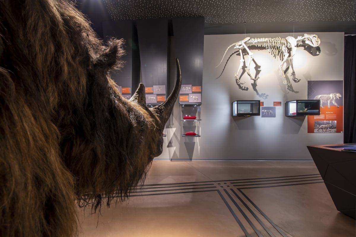 Proljeće u Speleonu i Baraćevim špiljama - čeka vas odličan sadržaj i povoljne ulaznice za cijelu obitelj