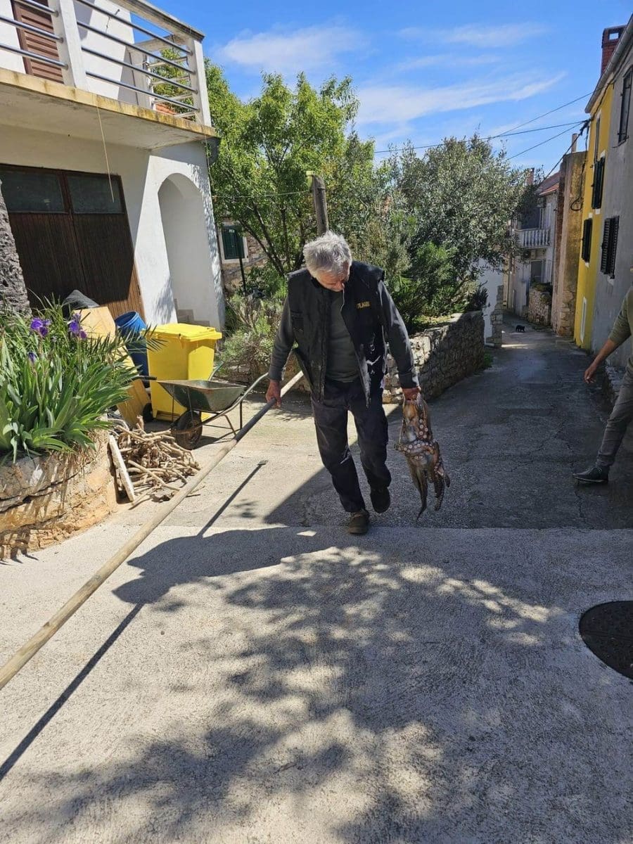 ivan maretic hobotnica