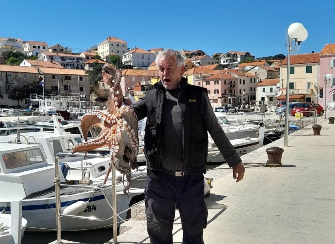 ivan maretic hobotnica1