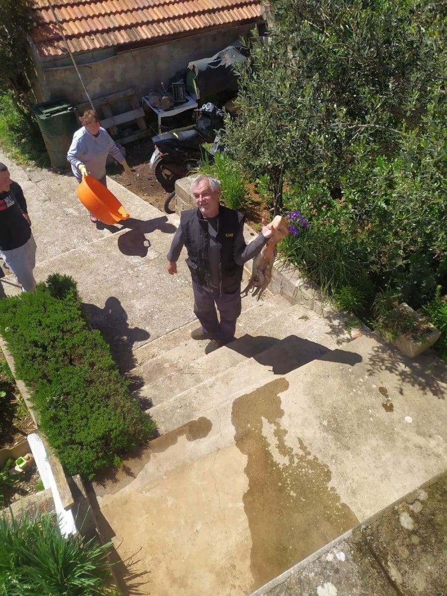 ivan maretic hobotnica3