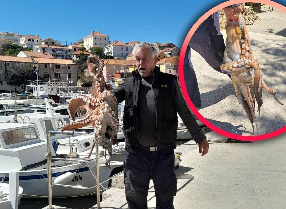 ULOV O KOJEM SVI PRIČAJU Iskusni otočanin oborio vlastiti rekord: Ulovljen hobotnica od preko 11 kilograma