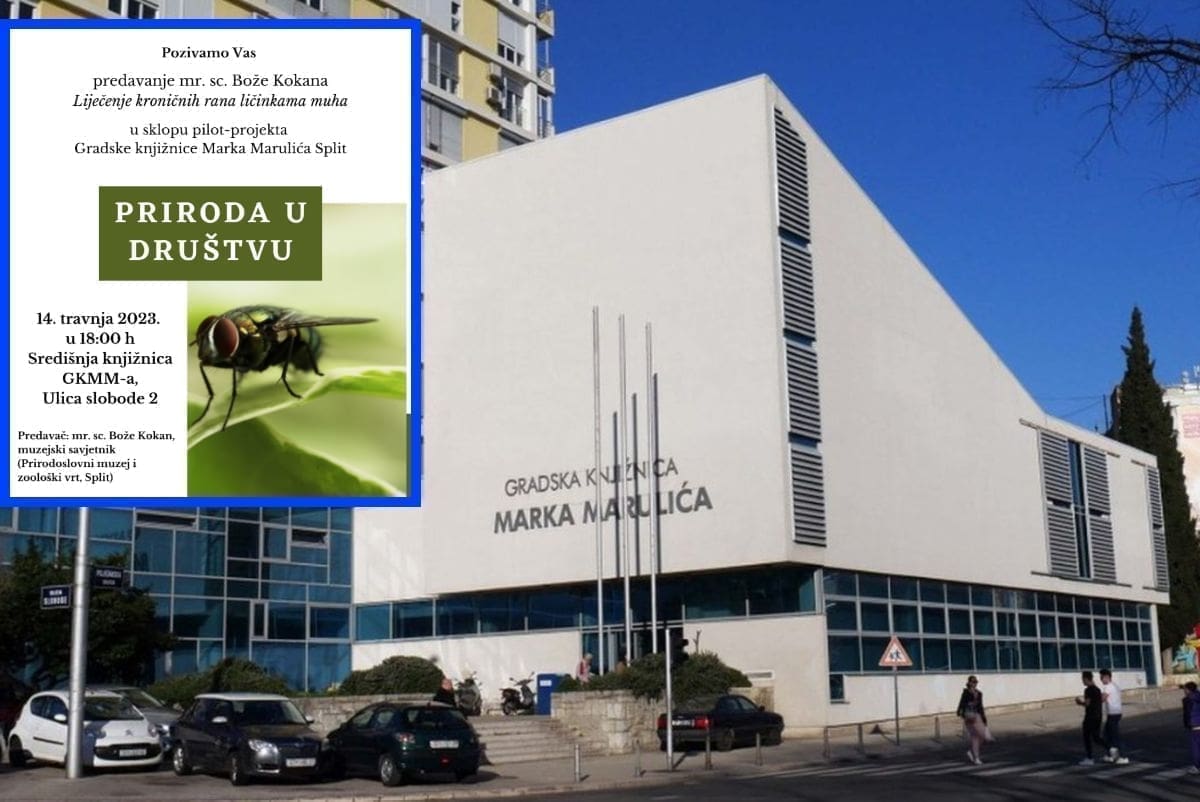 PRIRODA U DRUŠTVU Znate li da postoje metode liječenja kroničnih rana ličinkama muha?