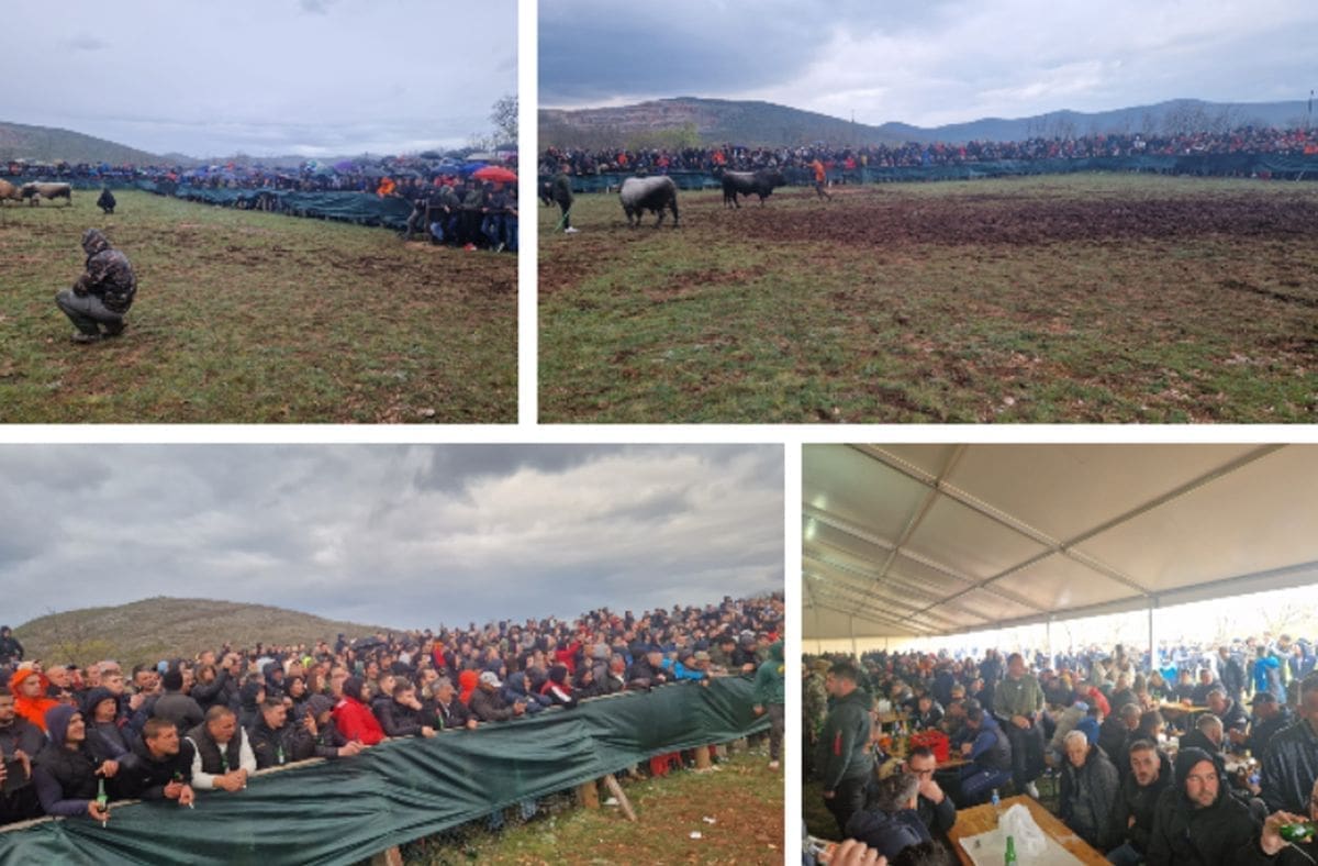 SPEKTAKL U DICMU Alkar bio najbolji, nekoliko tisuća ljudi uživalo u borbama bikova