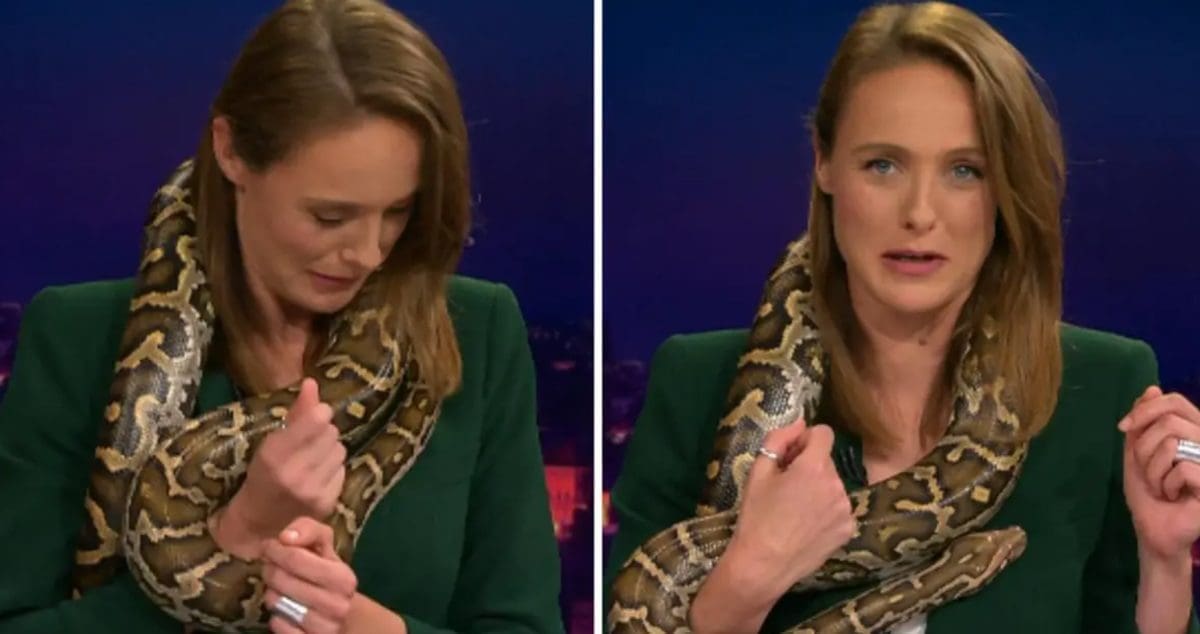 Mojmiri u emisiji piton gmizao po glavi i vratu: "Laku noć od mene..."