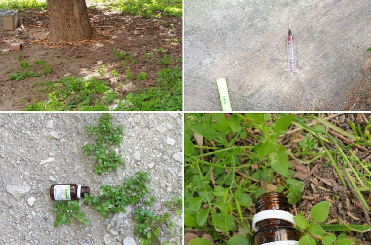 VELIKA OPASNOST VREBA U SPLITU Djeca su najviše ugrožena, upozorenje uputili članovi SDP-a: "Molimo nadležne službe..."