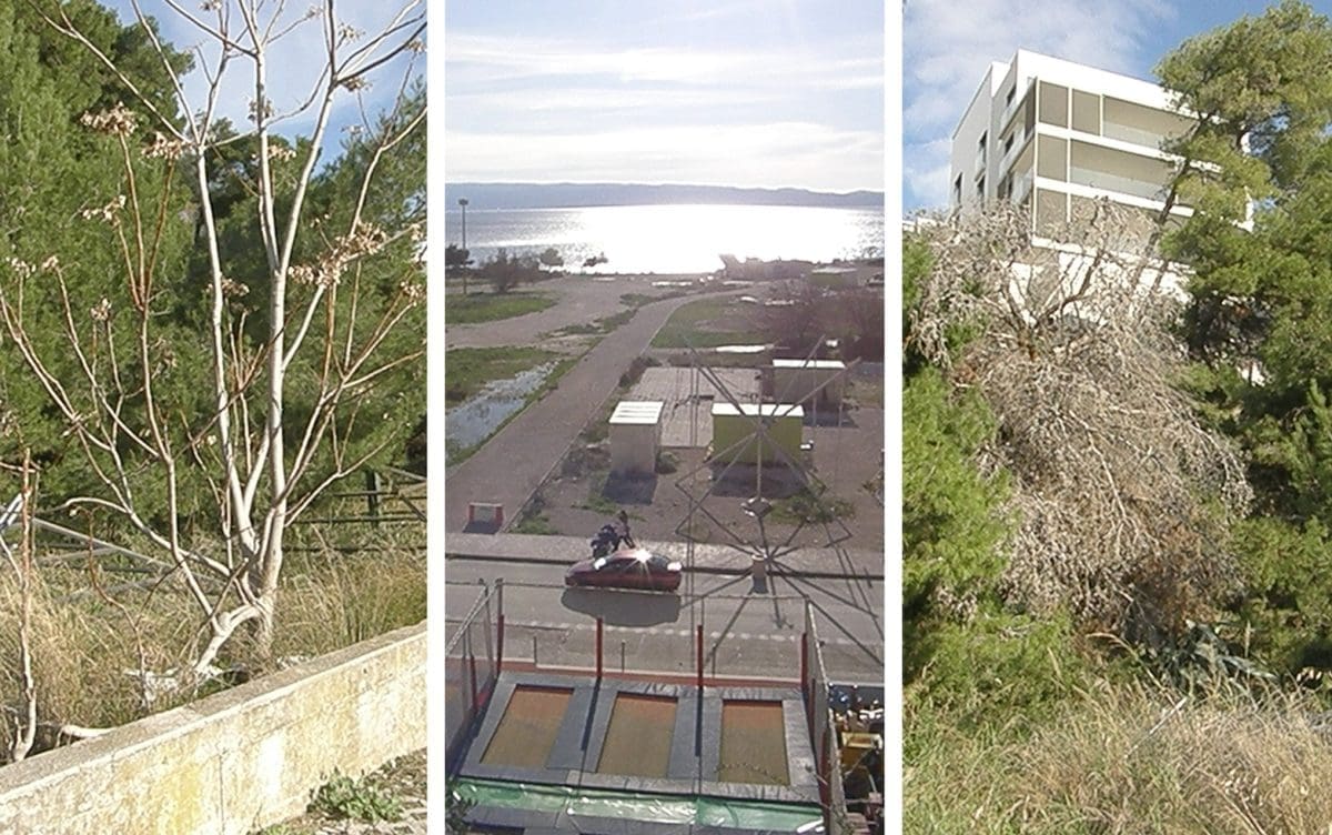 "POVRATAK U PROŠLOSTI" Zeleni Dalmacije ukazuju na 'devastacijsku bombu' u Splitu: "Marijana Puljak se nikad nije zahvalila ili nešto pokrenula"