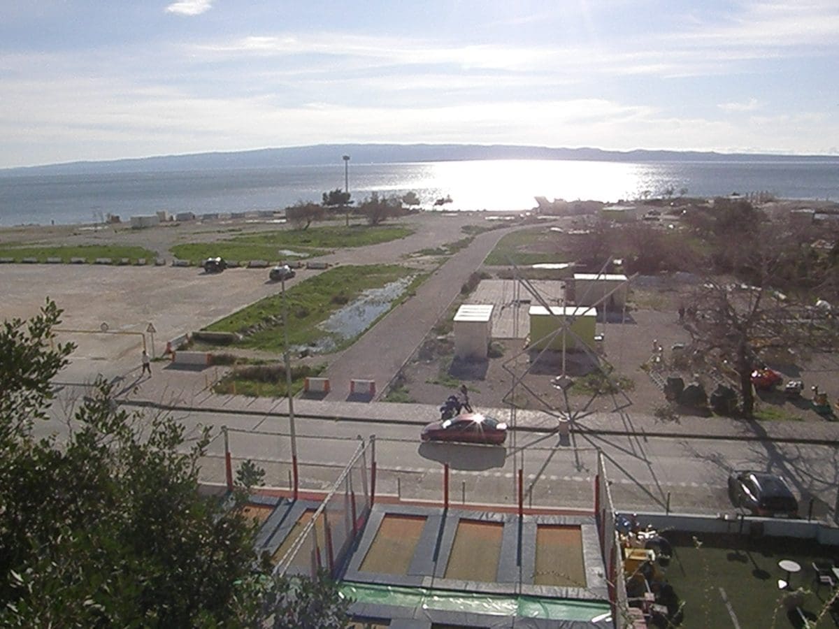 znjan zeleni dalmacije  3 