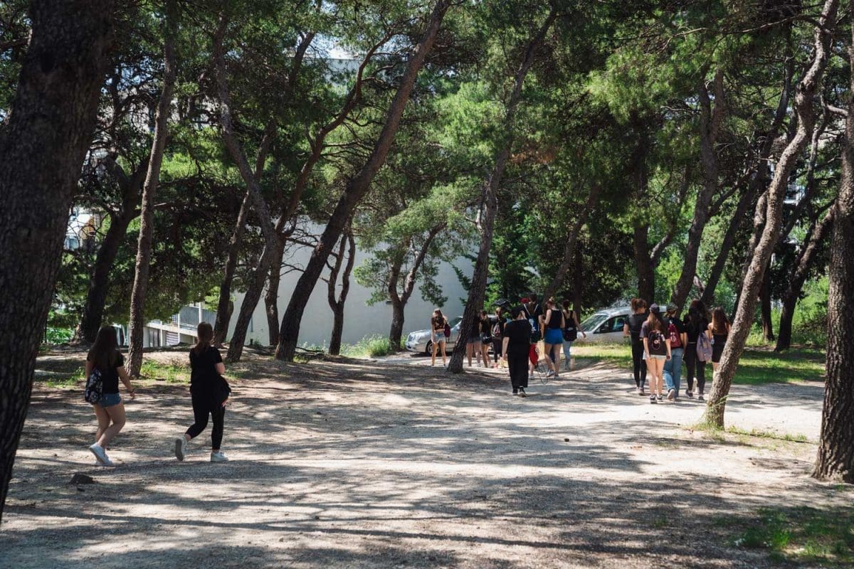 5 29 zelena transverzala 6