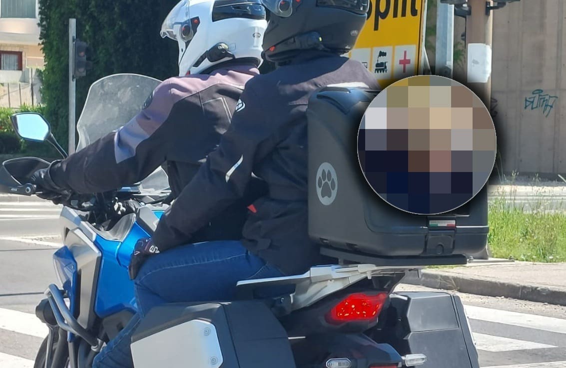 POSEBAN SUPUTNIK Splićani su ih oduševljeno gledali: Turisti provozali neočekivanog putnika