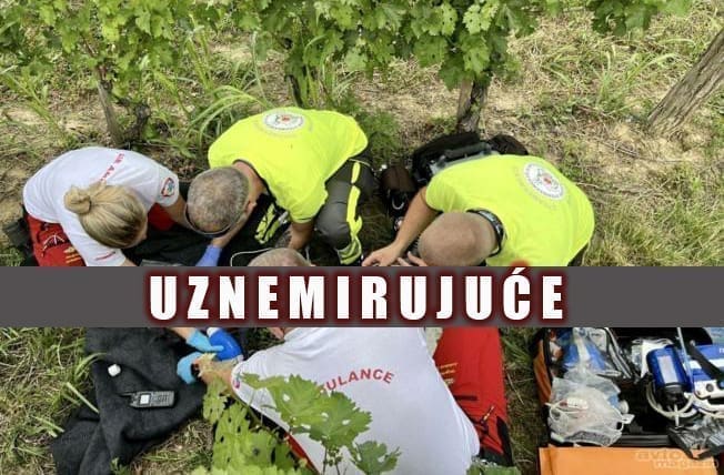 UŽAS Hrvatica rodila pa ostavila bebu u vinogradu. Dijete je umrlo