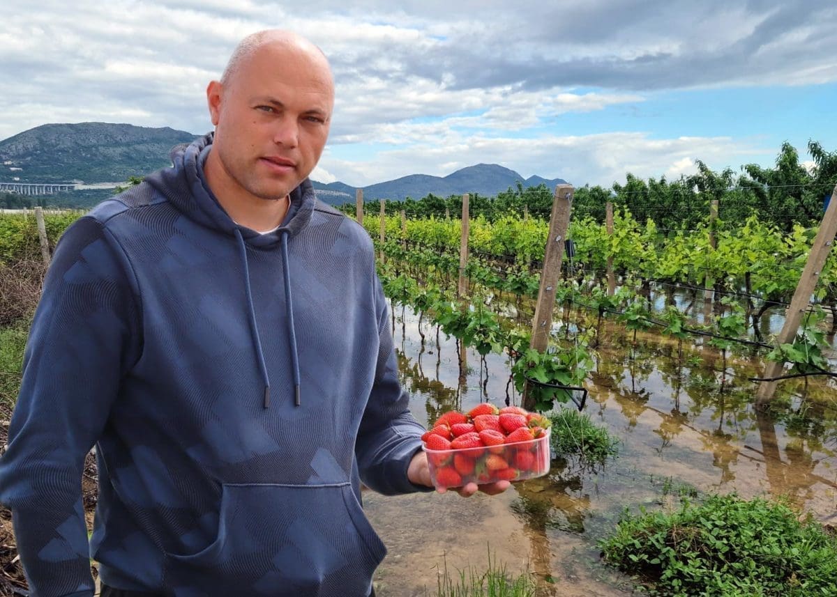 UGROŽENA DALMATINSKA POLJOPRIVREDA Strašne štete u Vrgorcu: "Ljudi po blatu beru jagode, pitanje je što će se spasiti. Trajno rješenje postoji i nadohvat je ruke"