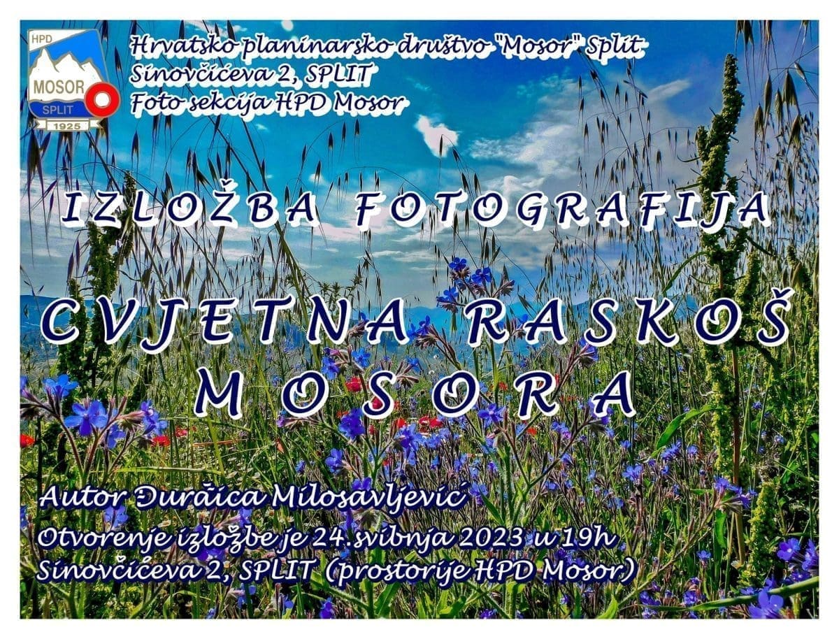 izlozba cvjetna raskos mosora