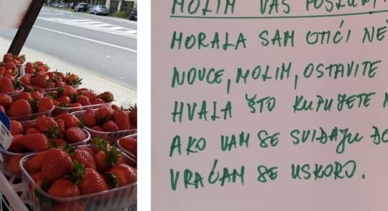 OVO VRAĆA VJERU U LJUDE Prodavačica napustila banak s jagodama, a kupcima ostavila poruku i 15 eura sitnog!