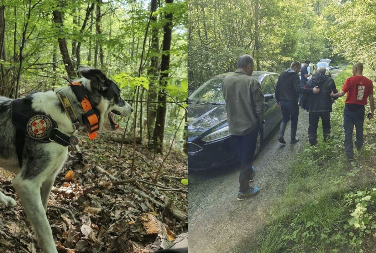 HGSS "Naš potražni pas jutros je spasio život muškarcu u Lonjskom polju"
