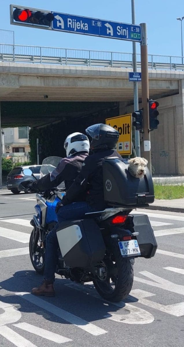 pas motor