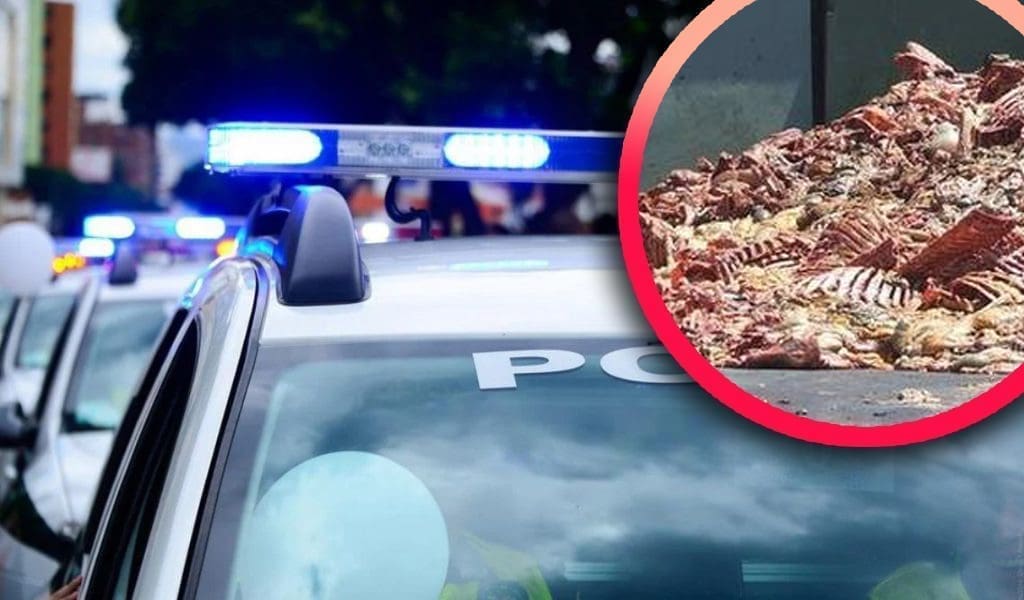 UGROZILI OKOLIŠ Trojac iz Dalmacije odlagao klaonički otpad, zaradili su kaznene prijave