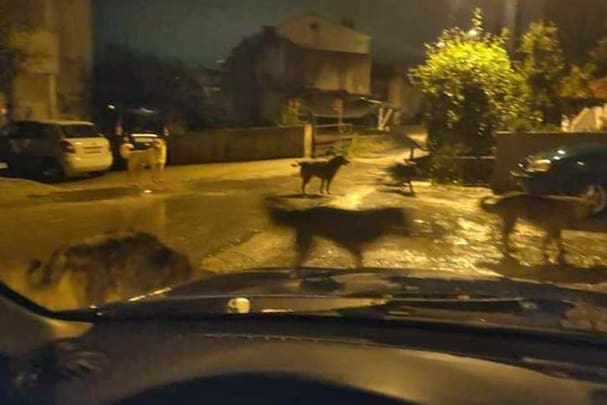 SPLIĆANIN IZ AUTA SNIMIO ZASTRAŠUJUĆI PRIZOR "Svi smo u strahu. Stariji ljudi uopće ne izlaze iz kuća kad padne mrak"