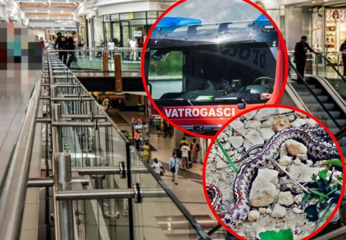 LOV NA ZMIJU Splitski vatrogasci je tri dana hvatali po shopping centru: "Ušla je u salatu?"
