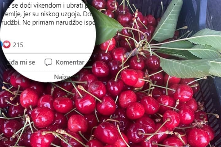 OGLAS KOJI JE ODUŠEVIO Nakon suludih cijena trešanja ovo je pravo osvježenje: Čovjek iz Zagore ponudio branje svojih trešanja