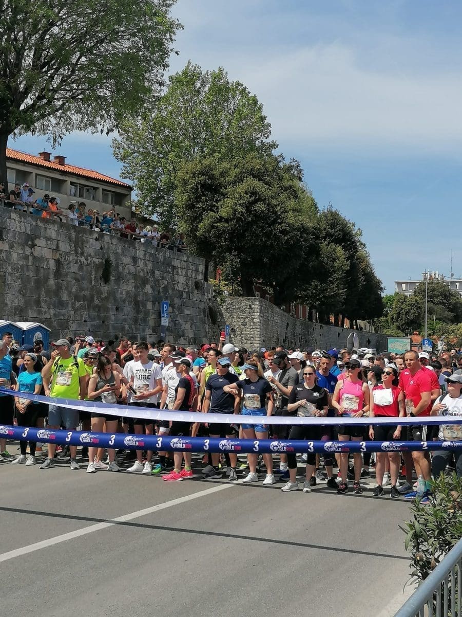 wings of life teo 24