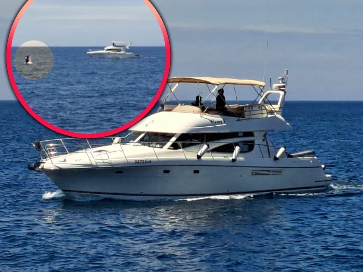 SRAMOTNO IŽIVLJAVANJE TURISTA NAD DUPINIMA Jahtom se zalijetali u jato. Prijeti im kazna do 40.000 kuna!