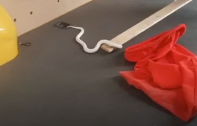 Ovo nitko nije očekivao: Iz paketa Hrvatske pošte izgmizala zmija