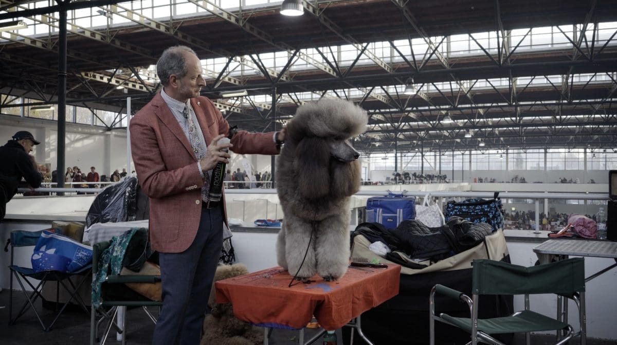 6 Paula Skelin Breed