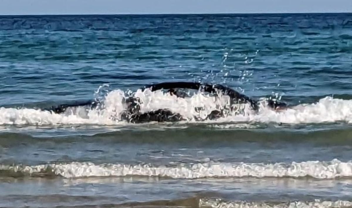 Parkirao je BMW uz more, a onda je stigla plima