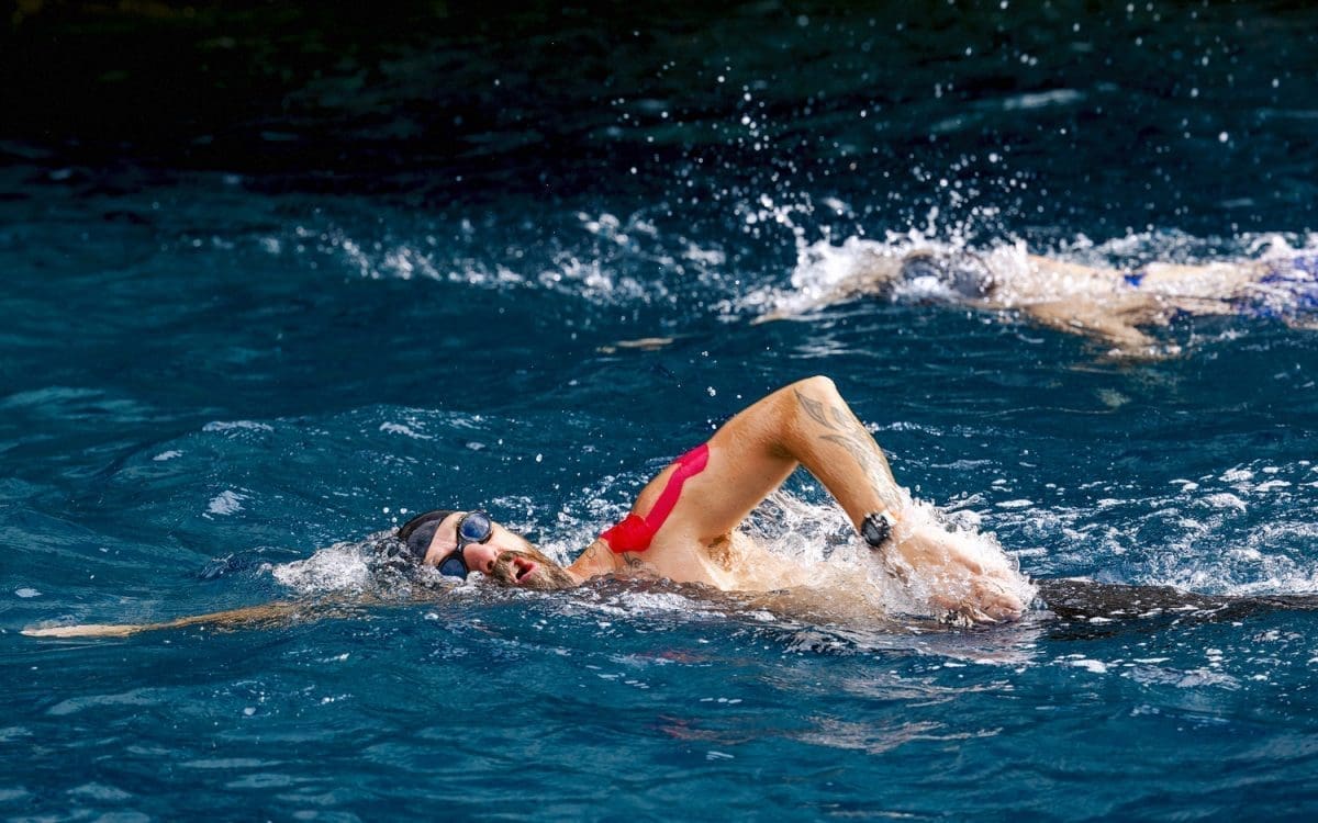 dina levacic sredozemna medvjedica 24