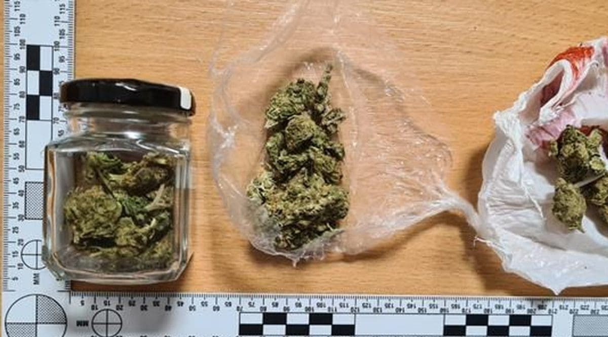 Policija kod maloljetnika u Pagu pronašla 220 grama marihuane