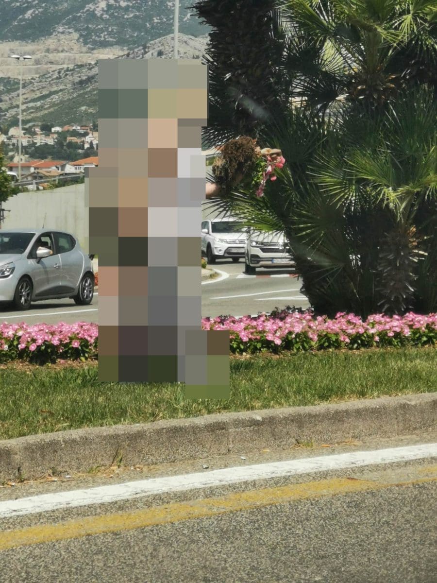 gospoda nosi cvijece