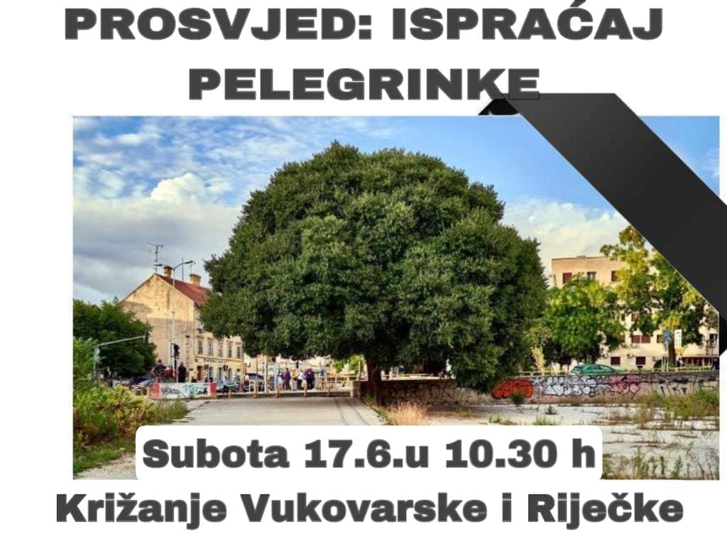 SPLIĆANI U NEVJERICI ZBOG POSJEČENE PELEGRINKE Najavljen prosvjed kojim će se 'ispratiti' stablo: "Zapalit ćemo i lumine"