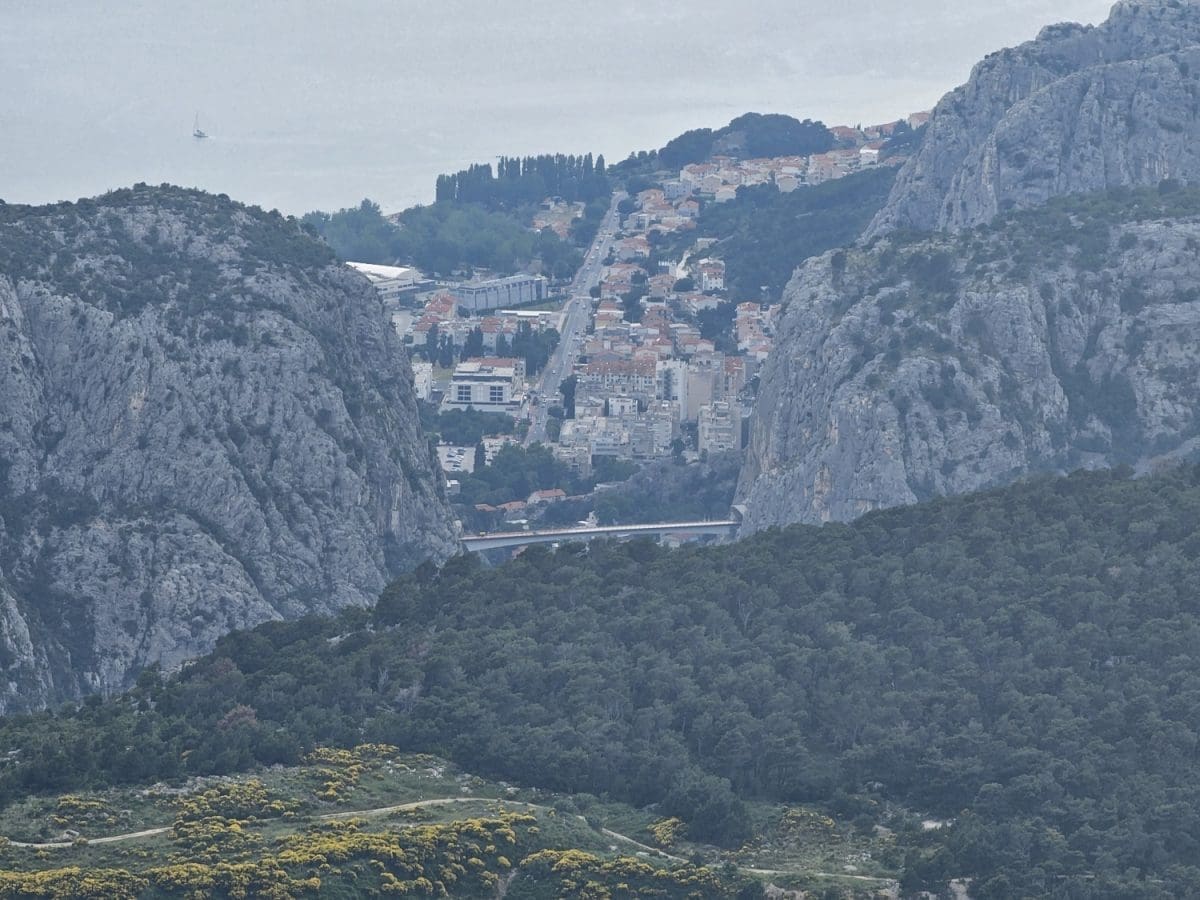 mosor kozik trposnjik 40