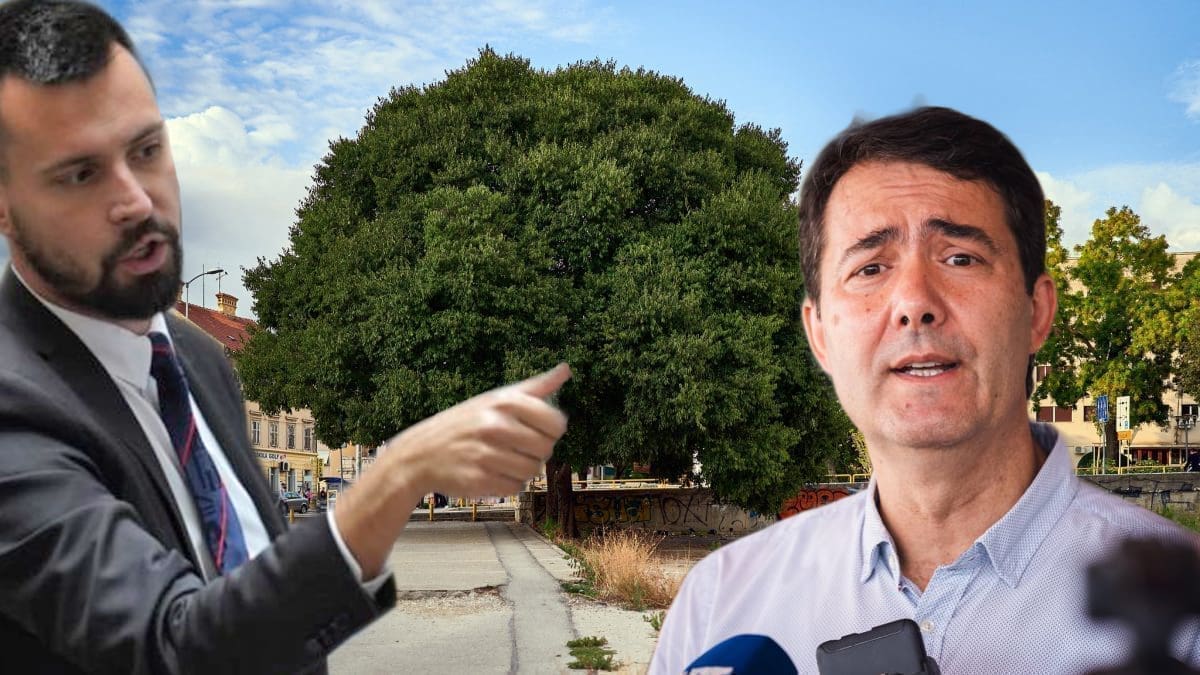 Đogaš: "Bojane, zašto se nisi vezao za stablo dva dana? Mi bi ti donosili i hranu i piće i sve što ti treba"