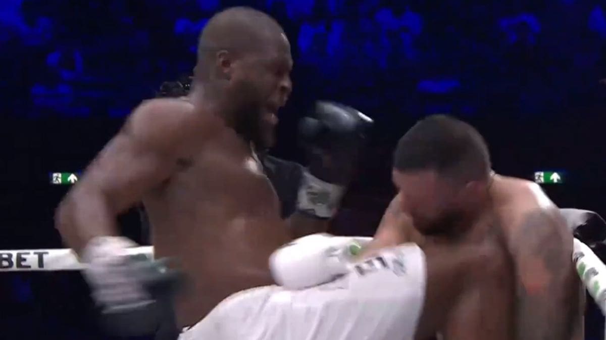 Ovo je trenutak u kojem je Plazibat brutalno nokautiran, pogledajte video