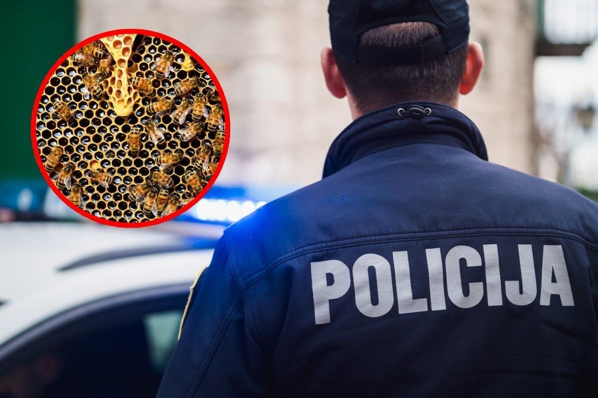 BIZARNA NESREĆA Policajac nakon teške prometne izašao obaviti očevid, napao ga roj pčela. Završio u bolnici