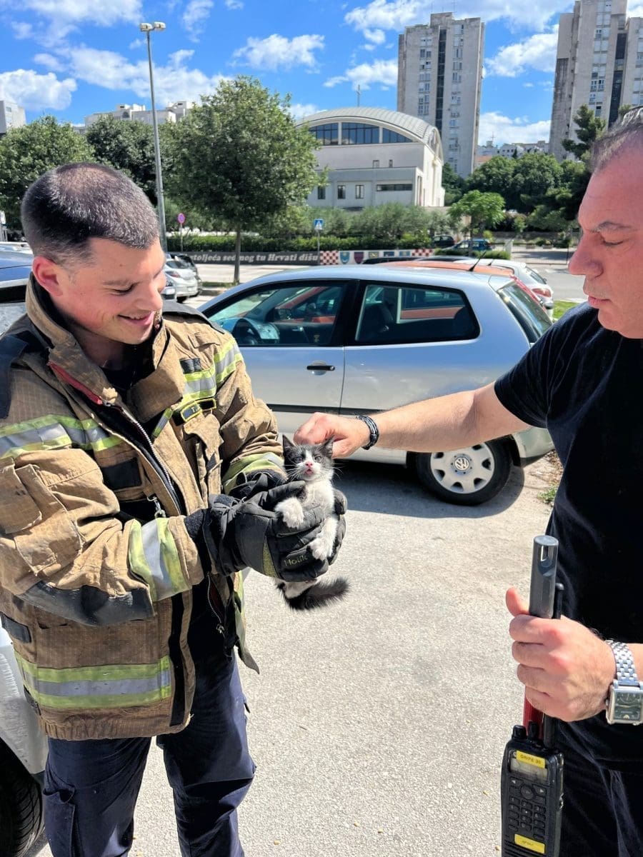 vatrogasci spasili macica 7 