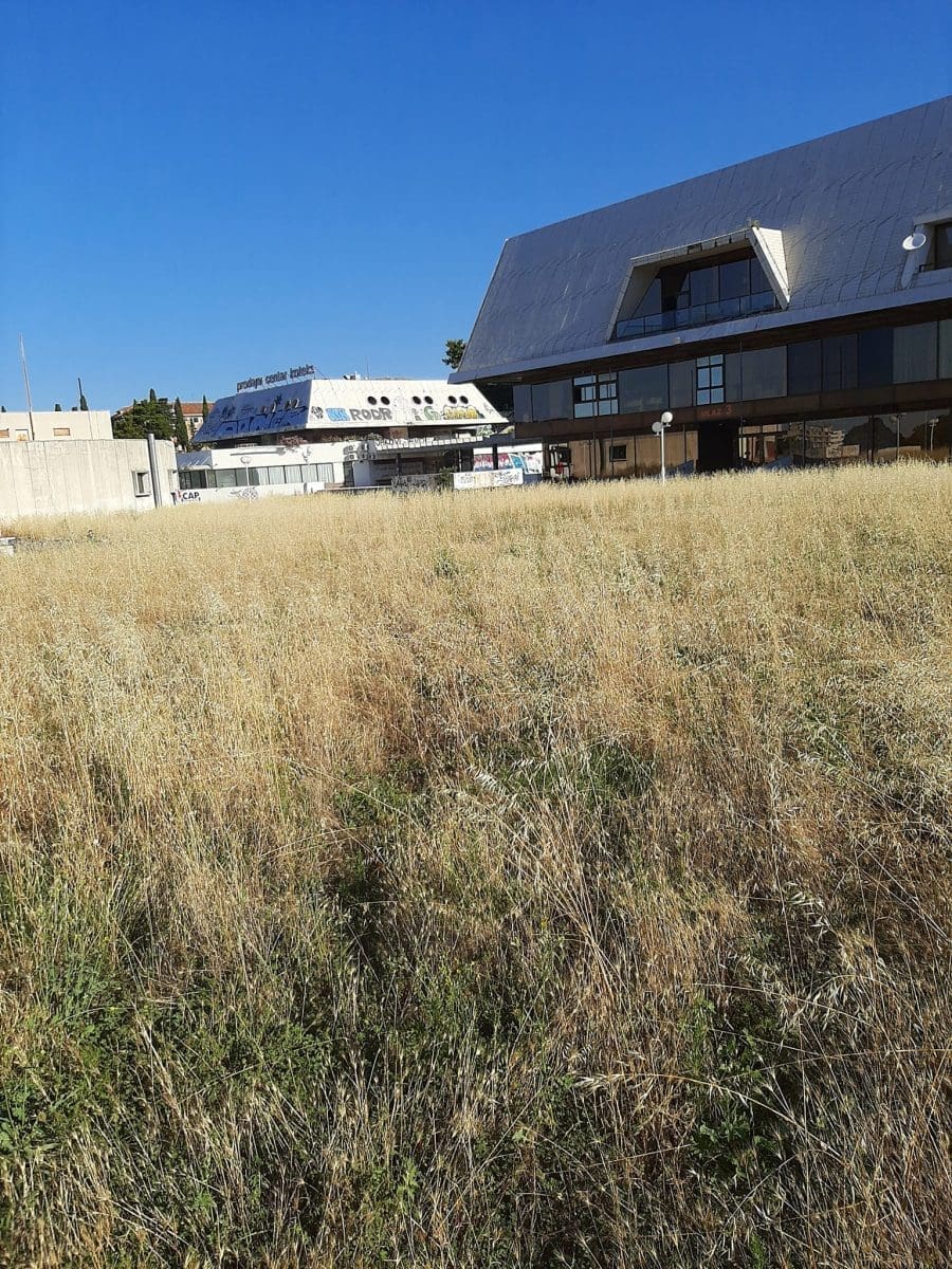 358371479 227814213465528 197746827305485833 n