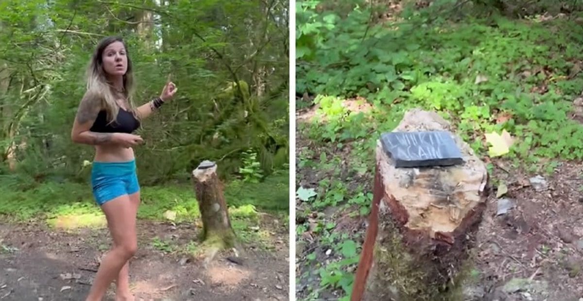 Kampirali u šumi pa pronašli jezivu poruku na kamenu, priča postala viralna
