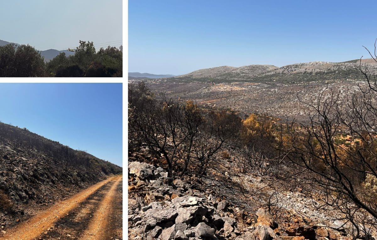 GREBAŠTICA NEPREPOZNATLJIVA Vatrena buktinja sve 'progutala'. Donosimo prizore s požarišta