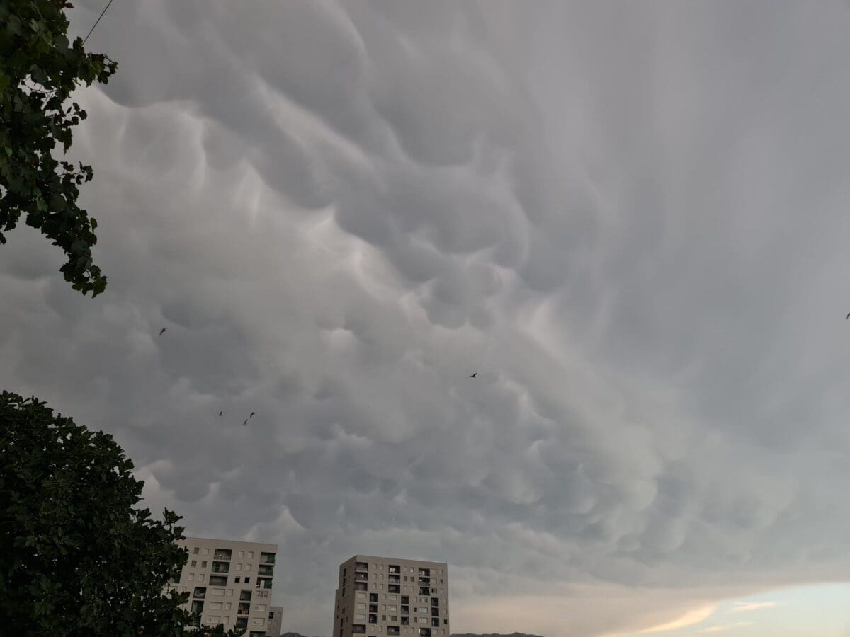 WhatsApp Image 2023 07 22 at 19 35 59