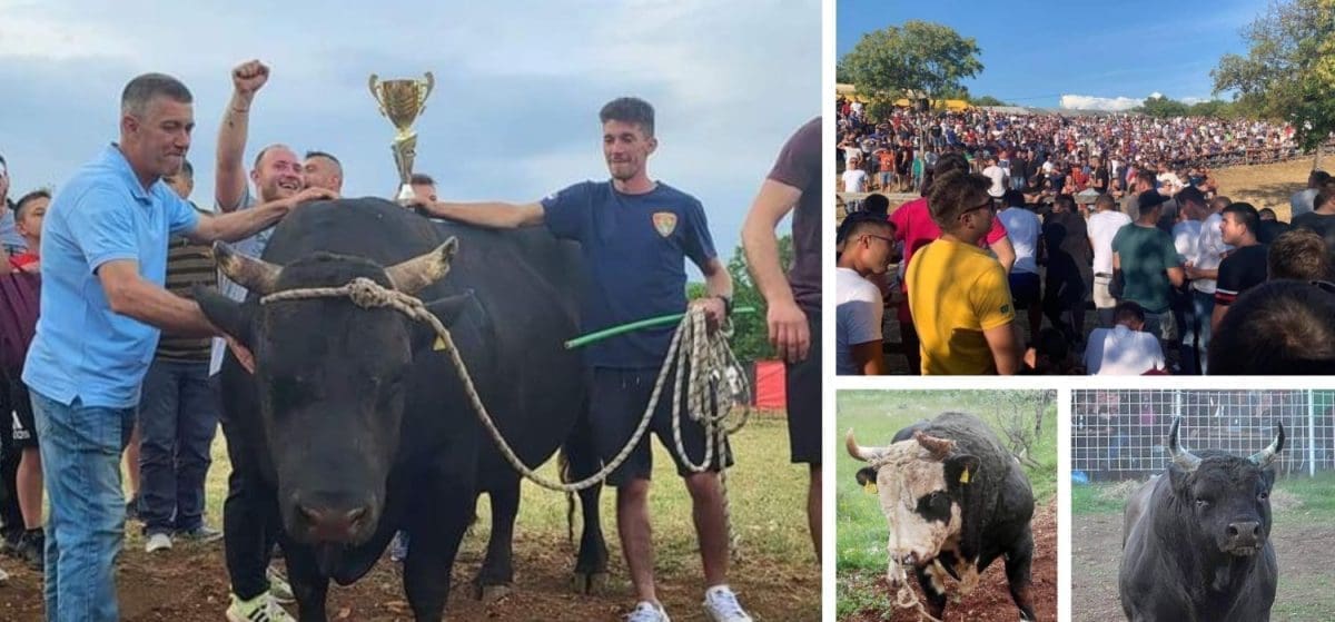 SPEKTAKL U ŠESTANOVCU Ove nedjelje očekuju vas bikijada i narodno veselje