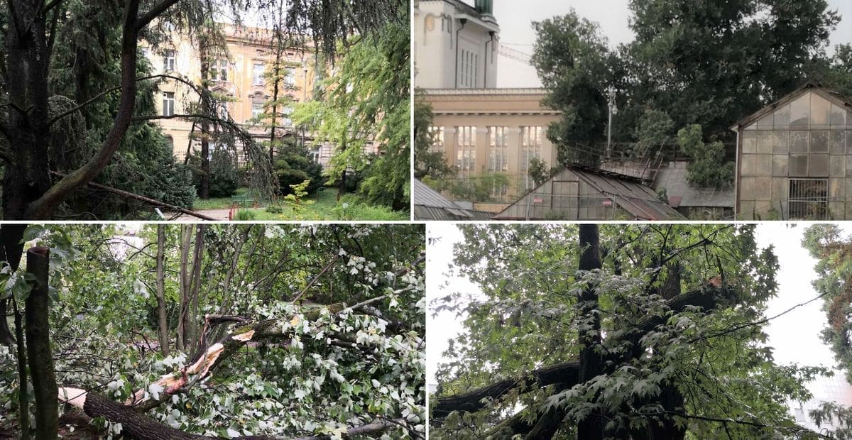 JUTRO NAKON OLUJNOG NEVREMENA U ZAGREBU Botanički vrt zatvoren do daljnjega, iz uprave poručuju: "Izbjegavajte parkove"