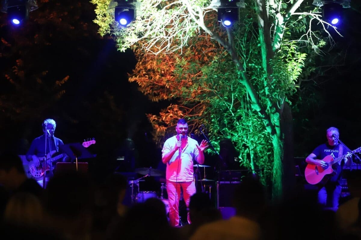 dino dvornik tribute 7 