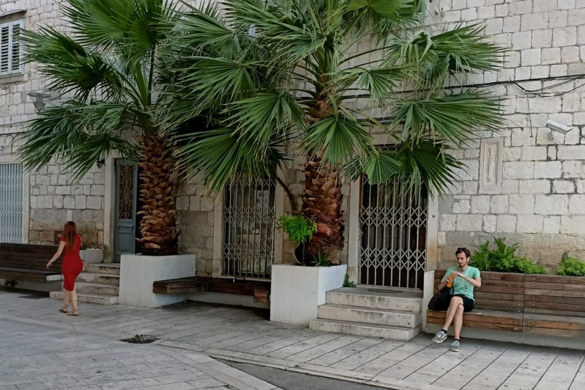 Planirate li sjesti na klupu u centru grada, dobro pogledajte ovaj napis na izlogu: 'Je li ovo namjerno ili ne?'