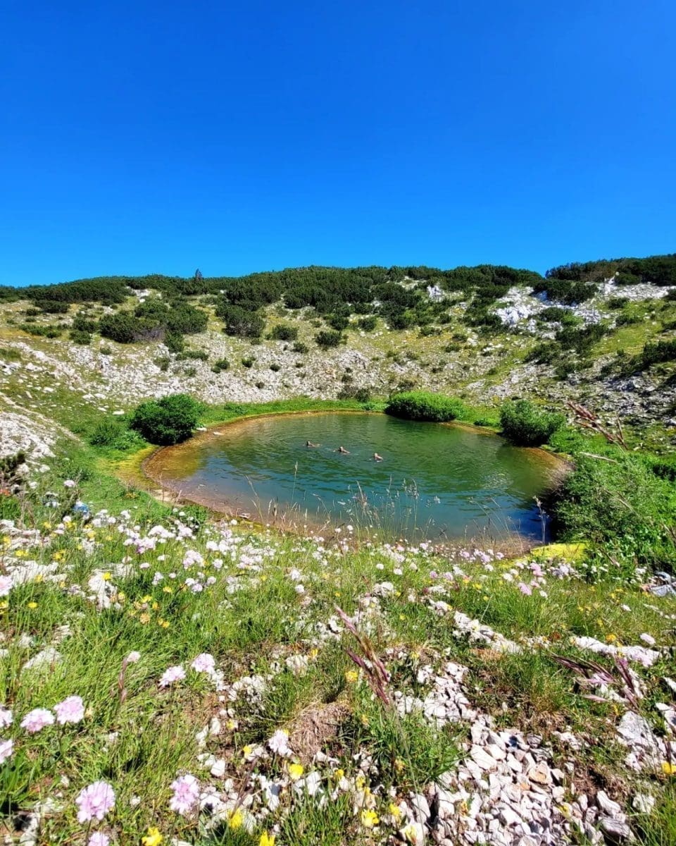 memorijal ivica plazonic 1 